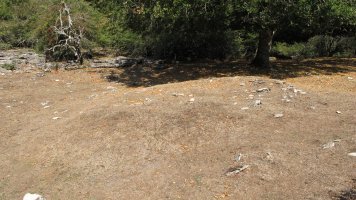 Zaborrateko Sakana etxola hondoa, Andia