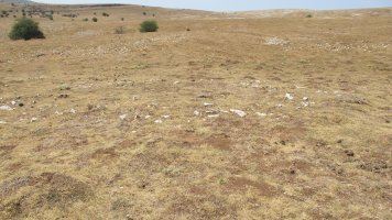 Ritei eraztun tumulua, Andia