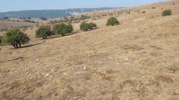 Ritei eraztun tumulua, Andia