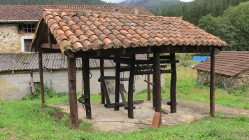 Perratokia, Ibarruri-Muxika