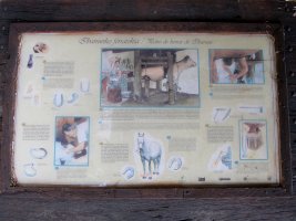 Perratokia, Ibarruri-Muxika