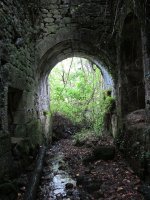 Olea burdinola, Ibarruri-Muxika