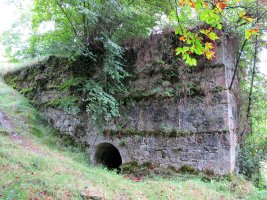 Olea burdinola, Ibarruri-Muxika