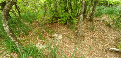 Zarranzmendiko tako geodesikoa