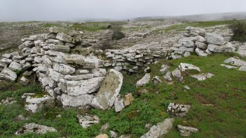 Arioleta txabola tumularra, Andia