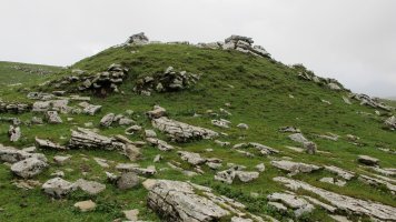 Arioleta txabola tumularra, Andia