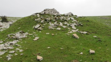 Arioleta txabola tumularra, Andia