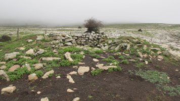 Arioleta Cueva txabola tumularra, Andia