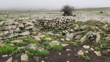 Arioleta Cueva txabola tumularra, Andia