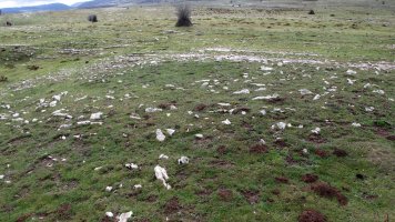 Erriturri 2 Tumulua, Andia