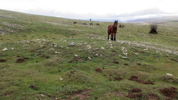 Erriturri 2 Tumulua, Andia