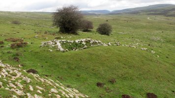 Ricardoren Txabola txabola tumularra, Andia