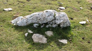 Beorzulo zutarria, Andia