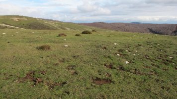 Mangones 4 eraztun tumulua, Andia