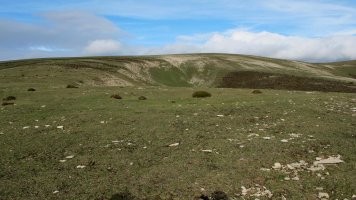 Mangones 4 eraztun tumulua, Andia