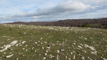 Los Mangones 2 ipar eraztun tumulua, Andia