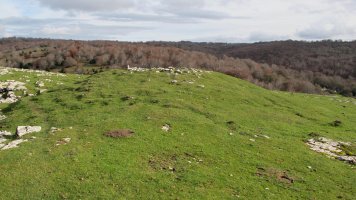 Riberos txabola tumularra, Andia