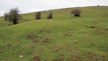 Sosaportillo 2 hego etxola hondoa, Andia