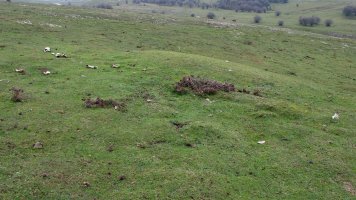 Sosaportillo 1 ipar etxola hondoa, Andia