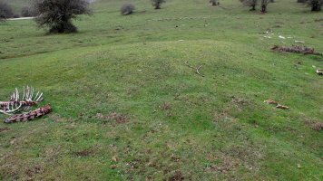 Sosaportillo 1 ipar etxola hondoa, Andia