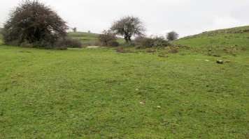 Usalderen etxola hondoa, Andia