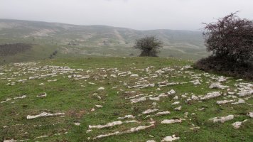 Usalderen eraztun tumulua, Andia