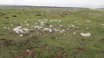 Ikomarko Sakana tumulua, Andia