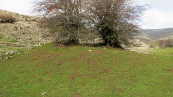 El Orinal txabola tumularra, Andia