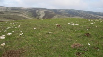 Illarrabeltz eraztun tumulua, Andia