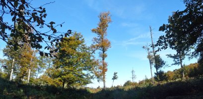 Murukoa mendiko gailurra