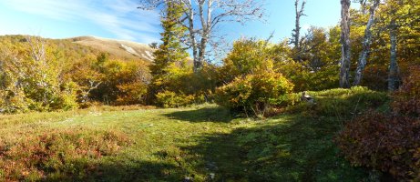 Otsolezea mendiko iparraldeko gailurra