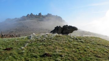 Buluntza trikuharria