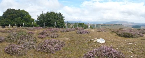 Zoiolagainako gailurra