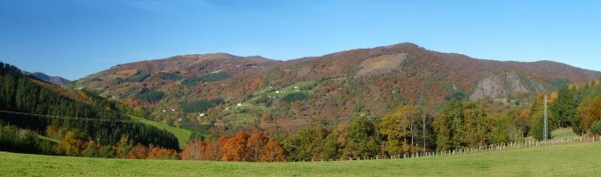 Lexarburu Gurutzakungo lepotik