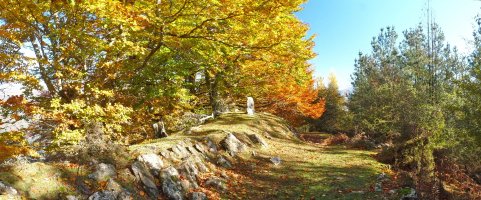 Aintzingurutzeko gailurra