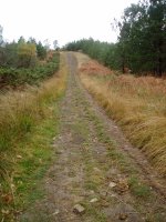 Garbolara iparraldetik gerturatzen den bidea