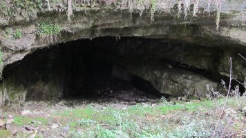 Usaleze leizea, Andia