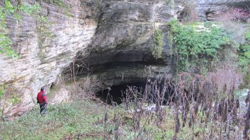 Usaleze leizea, Andia