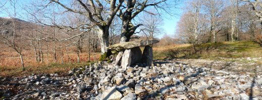 Azango Miaka trikuharri berreraikia