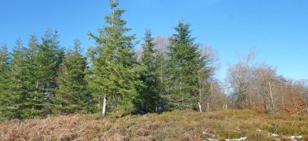 Lexarburuko gailurra