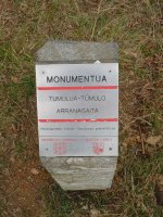 Arranagaita tumuluko adierazgarria