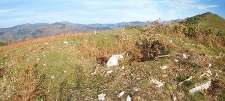 Artaleku trikuharria