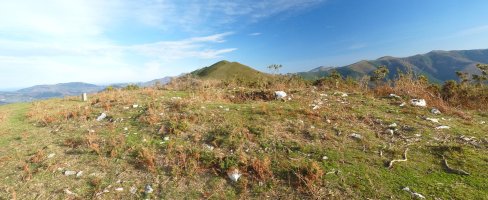 Artaleku trikuharria, Urkidi mendiko gailurrean