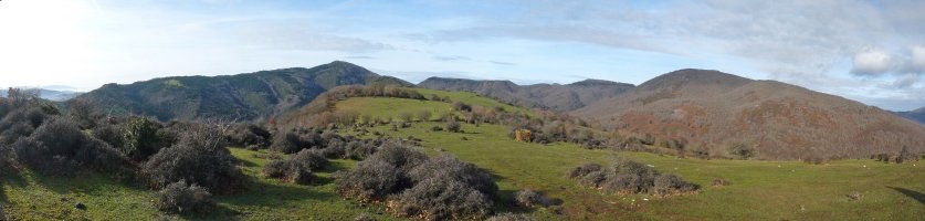 Ipeteko gainaldeko larreak