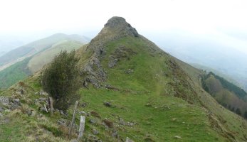 Mairubaratzeta gaina