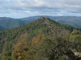 Ezkaraiko harria, Narbaizaren bikia