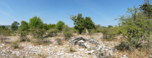 Monosarioseko gainaldea