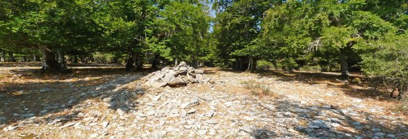 Monosarioseko gailurra