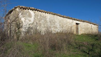Andremaria ermita, Hiriberri