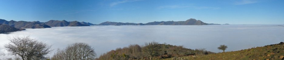 Laino itsasoa, Otolotik